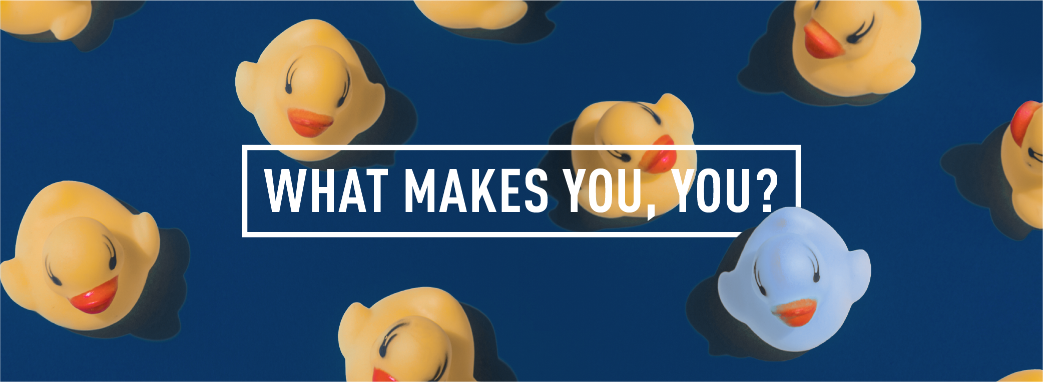 WHAT MAKES YOU YOU_Webpage Header
