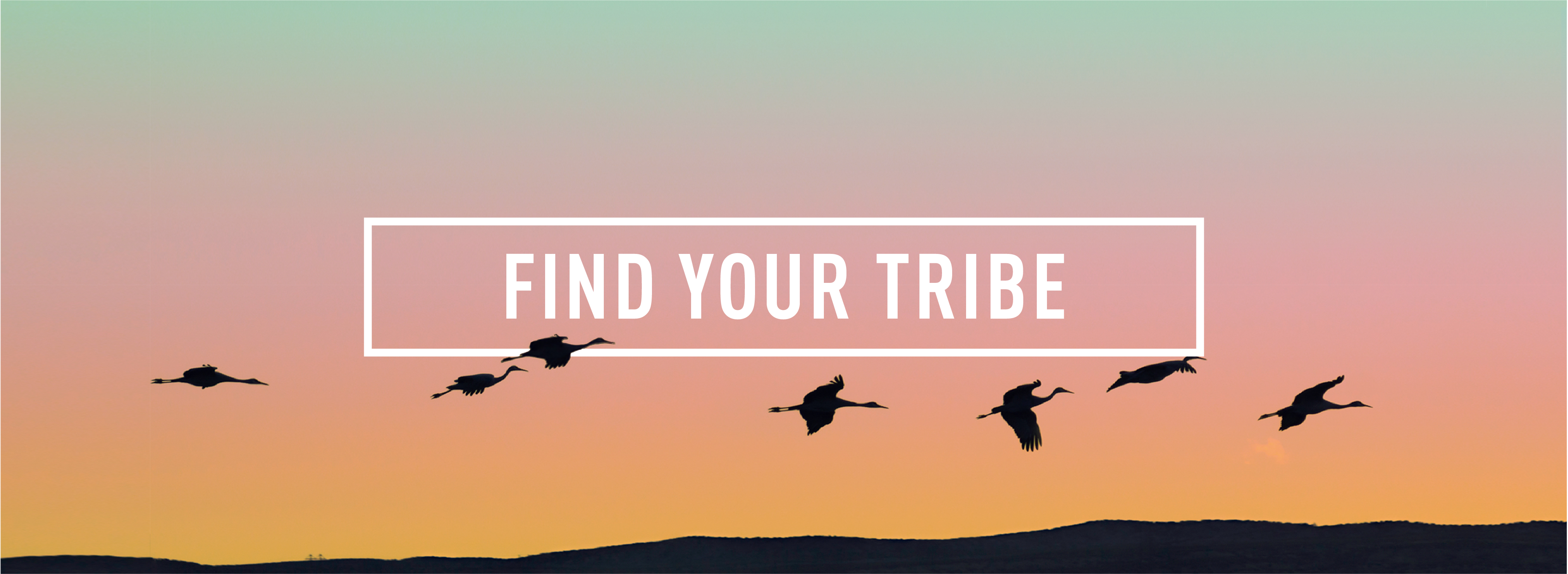 FIND YOUR TRIBE_Webpage Header