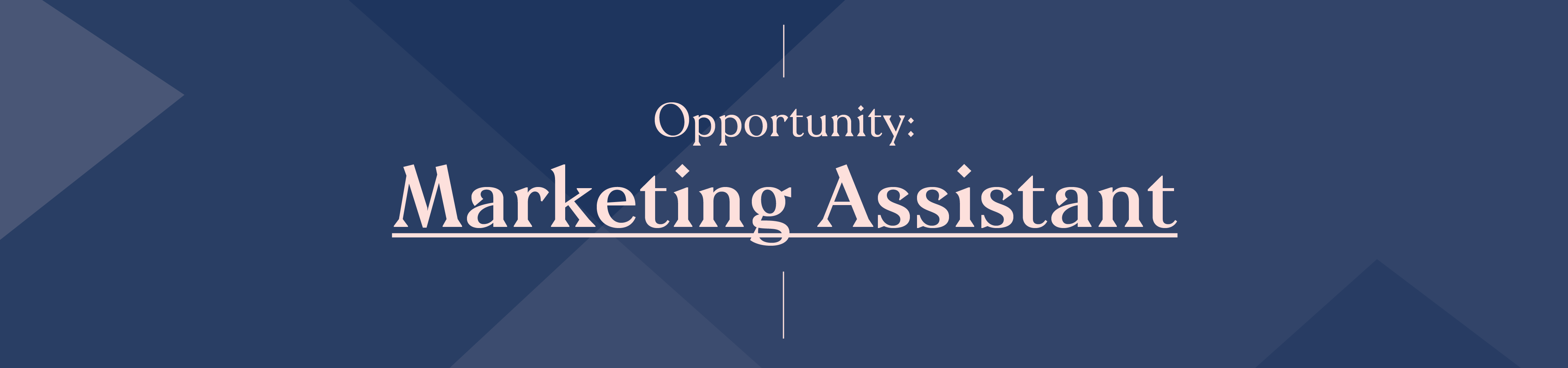 Job Banners_Marketing Assistant2