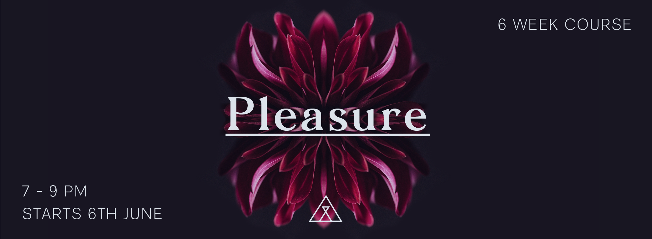 PLEASURE_Web Header3