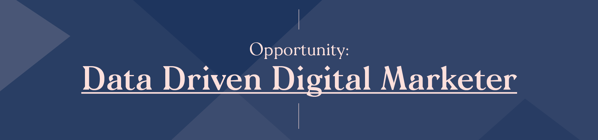 Job Banners_Digital Marketer