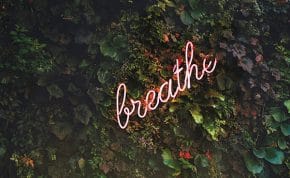 Back to Basics Mindfulness