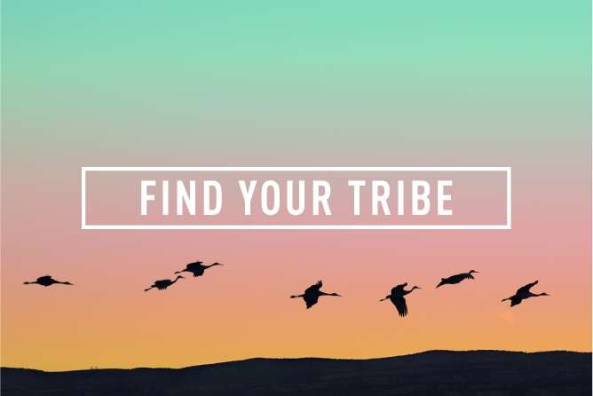 Psychology, Mindfulness and Yoga studio in Surry Hills - 668 x 446 png 214kB