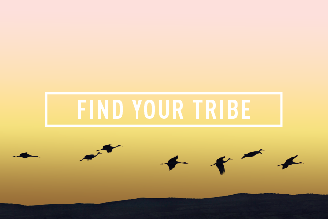 FIND YOUR TRIBE </BR> Monthly Event : Wed 28th Mar