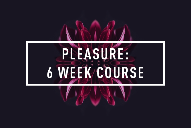 PLEASURE<BR> 6 WEEK COURSE : STARTS 28TH MAR