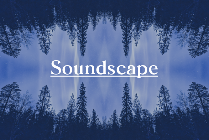 SOUNDSCAPE : Sonic Retreat<BR> BUNDANOON : 3rd - 5th Aug