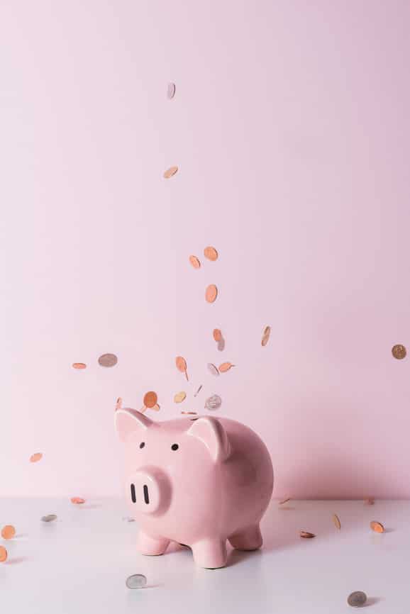 Pink Piggy Bank With Coin