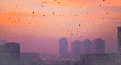 Stressless Summer Playlist