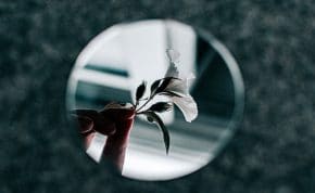 Not your usual mid-year reflections