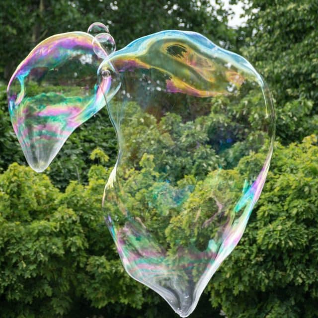 An abstract image of a bubble against a forest