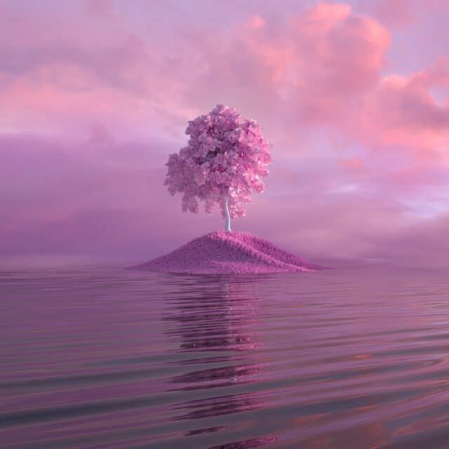 A pink a3d rendered image of an island with a single tree growing out of it, surrounded by water