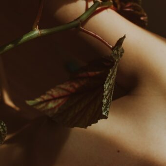 Body Dysmorphia Header Image: A medium shot of a body with a plant overlayed
