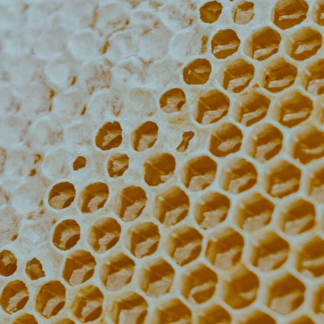 An up close image of the pattern of honeycomb shot on an angle