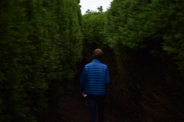 A character in a blue jacket walks into a tall dark hedge