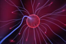 A red, purple and blue neural pathway